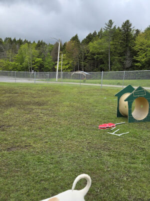Ludlow Dog Park