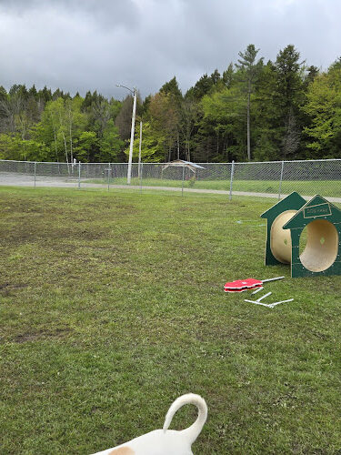 Ludlow Dog Park