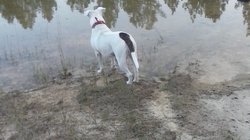 Lost Valley Campground - Lupton,