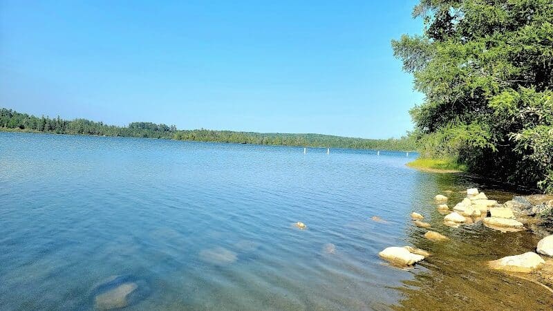 Rifle River Recreation Area - Lupton,