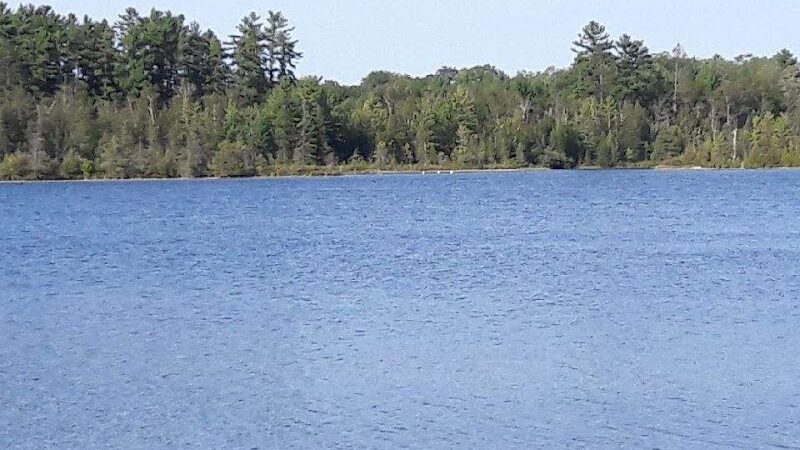 Rifle River Recreation Area - Lupton,