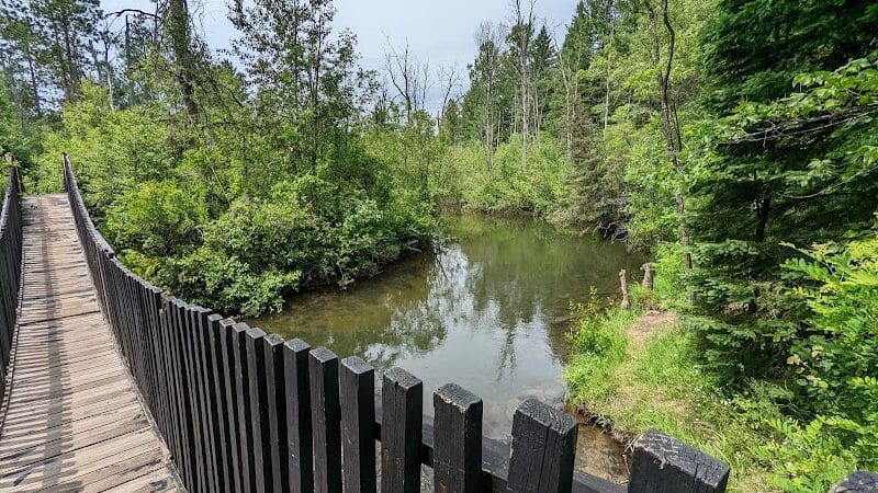 Rifle River Recreation Area - Lupton,