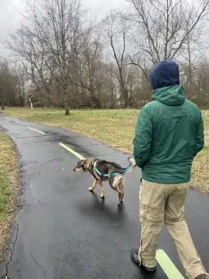 Luray-Hawksbill Greenway Hiking Trail