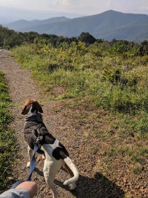 Pass Mountain Loop Trail