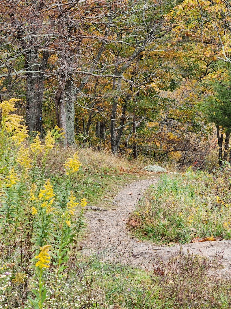 luray-virginia-pass-mountain-loop-trail-5