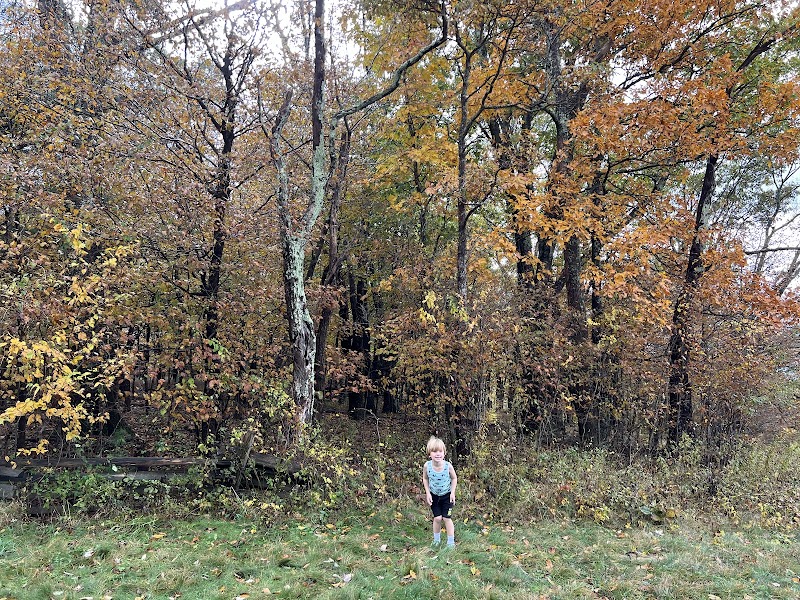 luray-virginia-pass-mountain-loop-trail-6