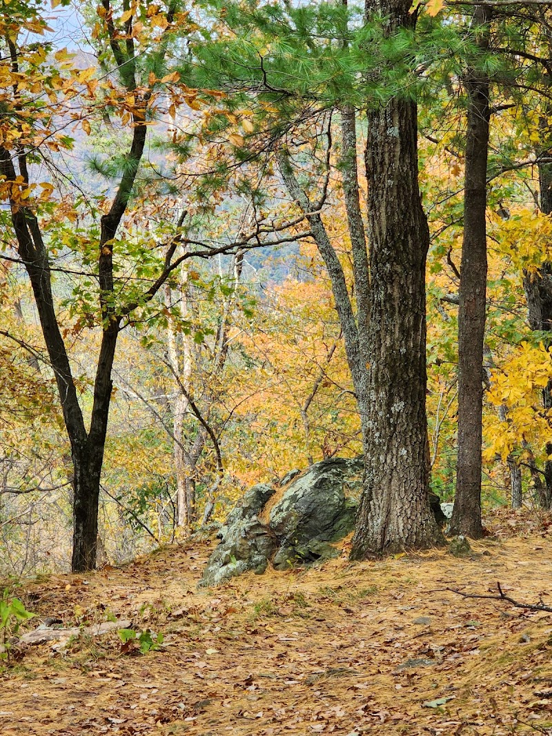 luray-virginia-pass-mountain-loop-trail-7