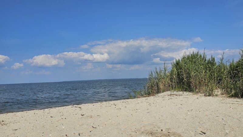 Flag Ponds Nature Park - Lusby, MD