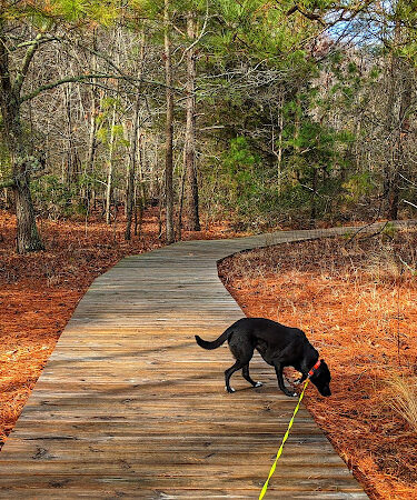 Flag Ponds Nature Park