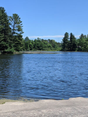 Mill Pond Park