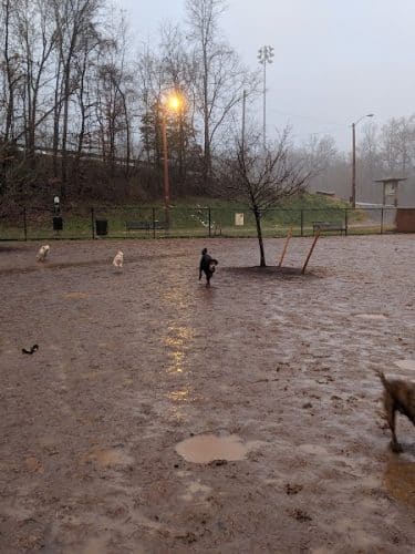 Lynchburg Dog Park