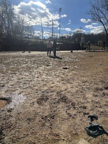Lynchburg Dog Park
