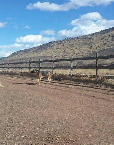 Lyons Dog Park