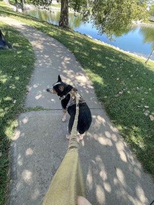 Augmon Park