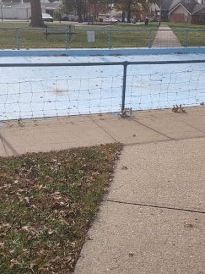 Jackson St park
