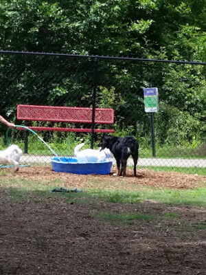 Mill Creek Dog Park