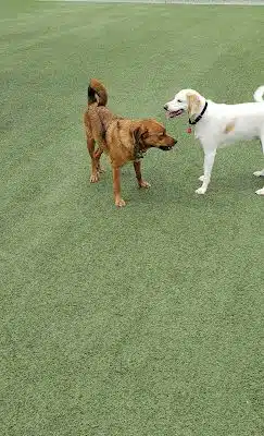 Tucker Park