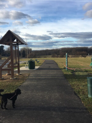 Brightside Farm Park