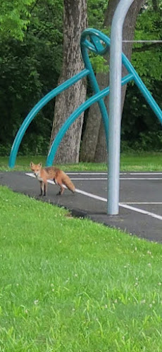Down East Park