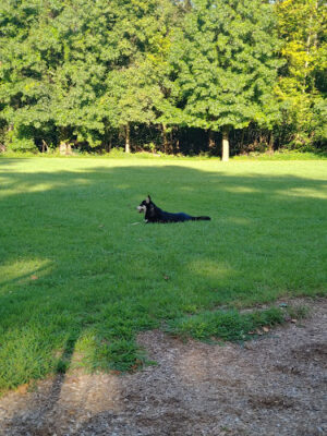 Valley Creek Park