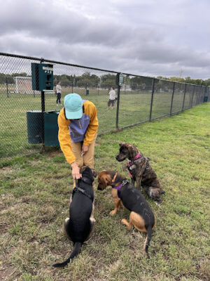 Bark Park - off leash dog park