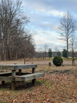 Thompson Grove Park