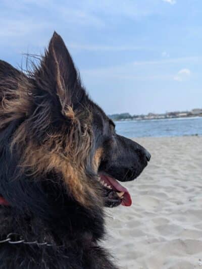 Fisherman's Cove Conservation Area - Manasquan, NJ