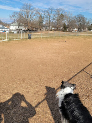 Manassas Park Dog Park