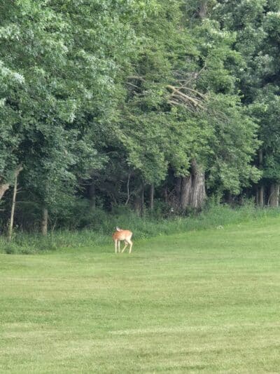 Carr Park - Manchester,