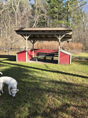 Manchester Dog Park