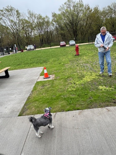 Manchester Dog Park