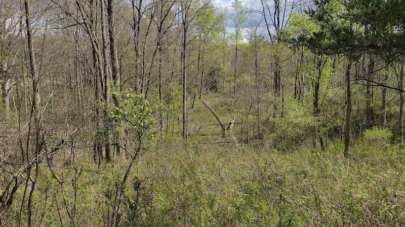 Leonard Preserve - Manchester,