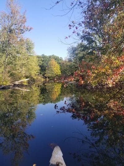 Leonard Preserve - Manchester,
