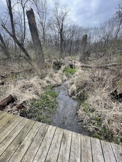 Leonard Preserve - Manchester,