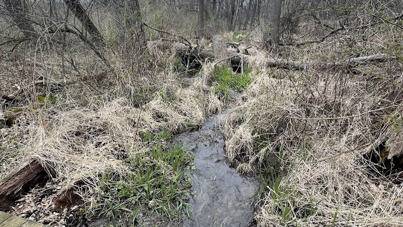 Leonard Preserve - Manchester,