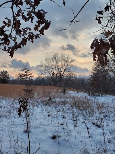 Leonard Preserve - Manchester,