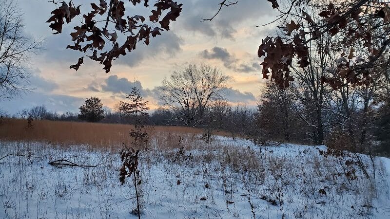 Leonard Preserve - Manchester,