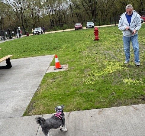 Manchester Dog Park - Manchester,