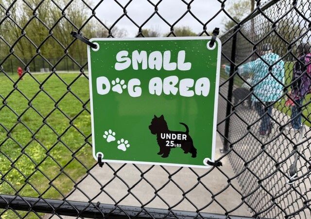 Manchester Dog Park - Manchester,