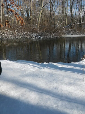 Leonard Preserve
