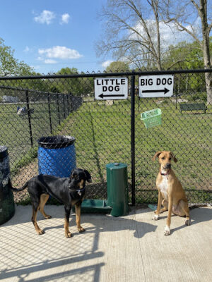 Bark-Aroo Dog Park