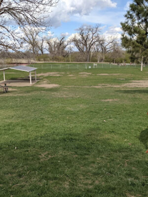 Dog Town Dog Park & Sitting Bull Park