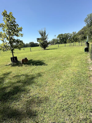 DOG PARK FAIRMONT PARK