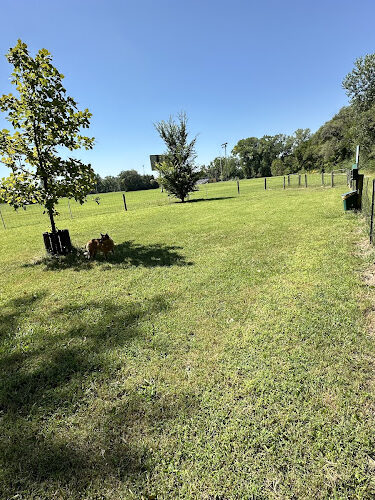 DOG PARK FAIRMONT PARK