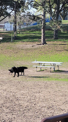 Cico Dog Park