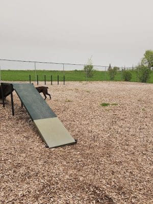 K-M Dog Park - Mantorville, MN
