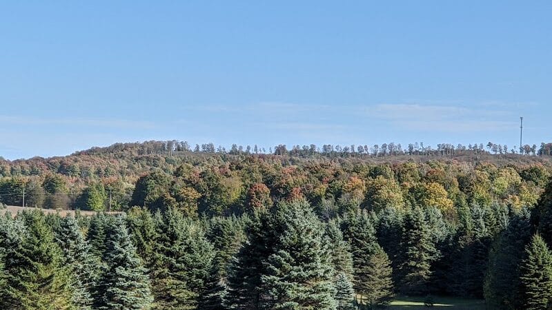 Myles Kimmerly Park - Maple City,