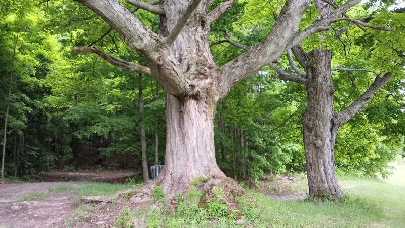 Myles Kimmerly Park - Maple City,