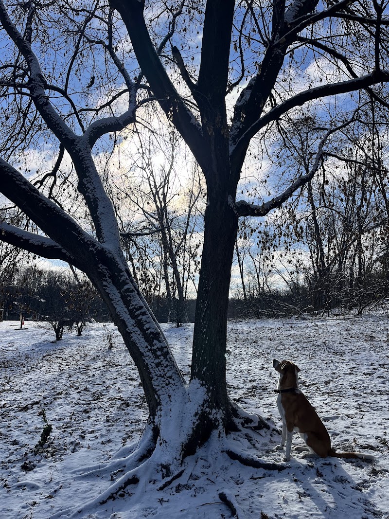 Dog Park at Fish Lake Regional Park - Maple Grove, MN