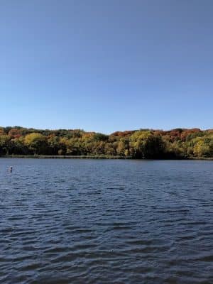 Dog Park at Fish Lake Regional Park